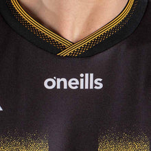 Load image into Gallery viewer, Kilkenny Gaa Home Jersey