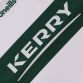 Load image into Gallery viewer, Kerry GAA Goalkeeper Jersey Youths