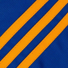 Load image into Gallery viewer, O'Neills Mourne Shorts Royal/Amber