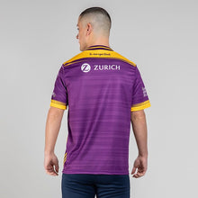 Load image into Gallery viewer, Wexford Home Jersey
