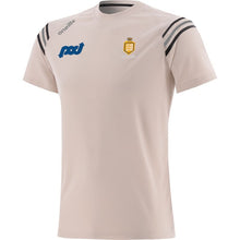 Load image into Gallery viewer, Clare Gaa O&#39;Neills Weston T-shirt Beige
