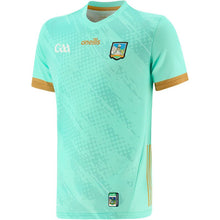 Load image into Gallery viewer, Limerick Goalkeeper jersey 2023
